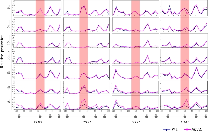 FIG. 7.