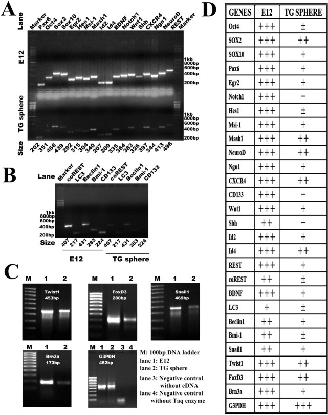 Figure 9.