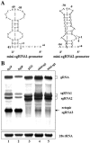 FIG. 8.