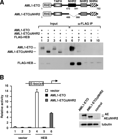 FIG. 7.