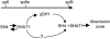 Figure 10.