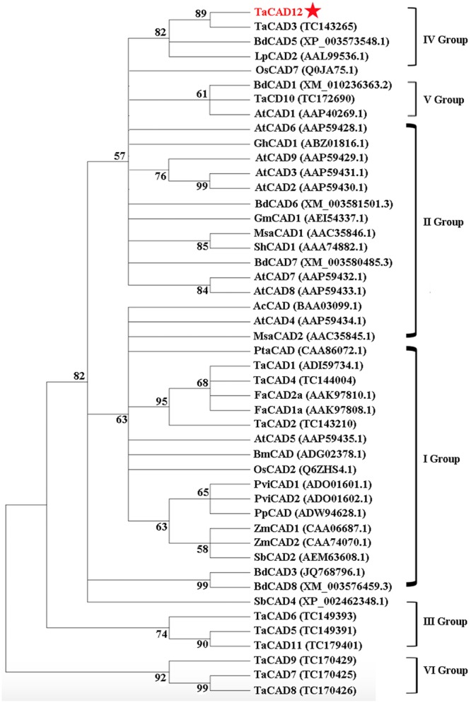 FIGURE 3