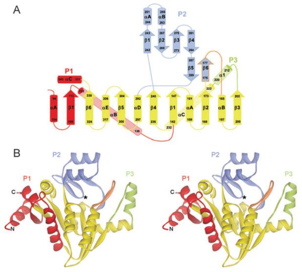 Fig. 1