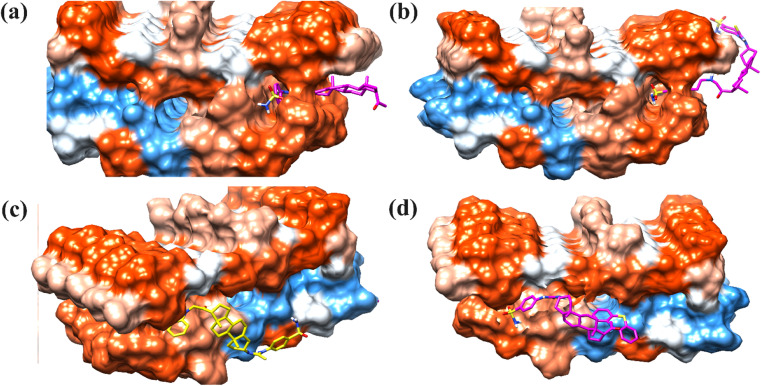 Fig. 11