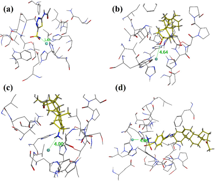 Fig. 7