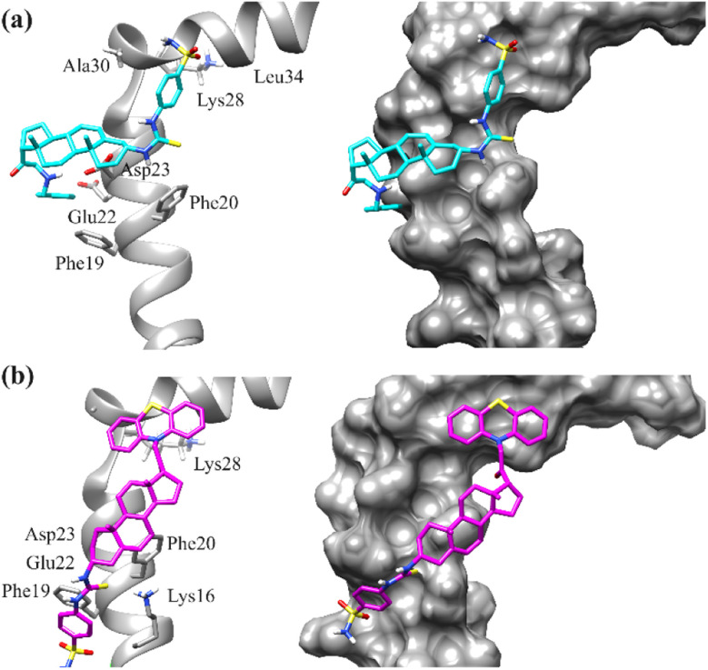 Fig. 10