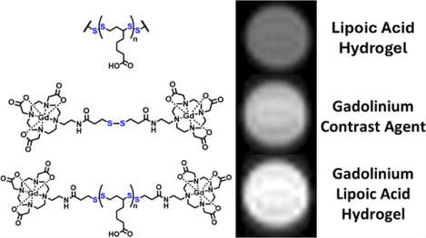 graphic file with name nihms-2092964-f0001.jpg