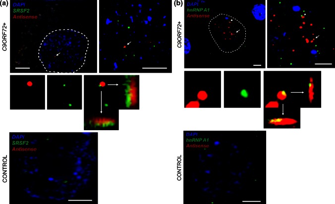 Fig. 3