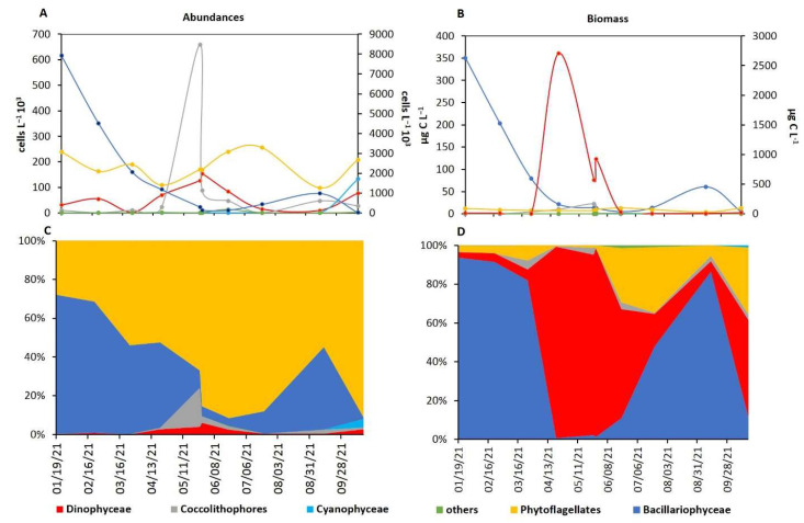 Figure 6