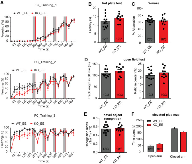 Figure 3—figure supplement 1.