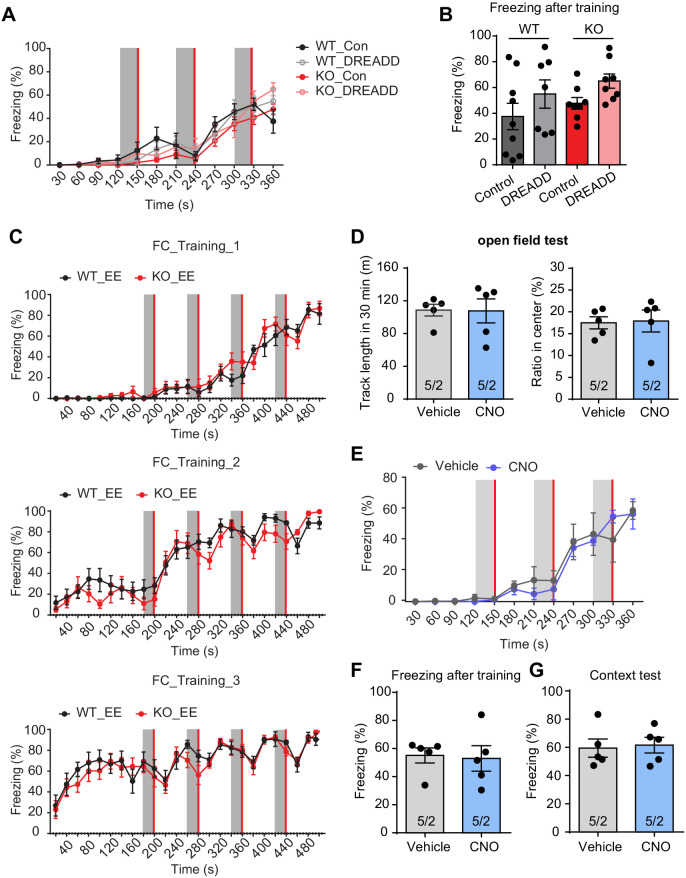 Figure 5—figure supplement 1.