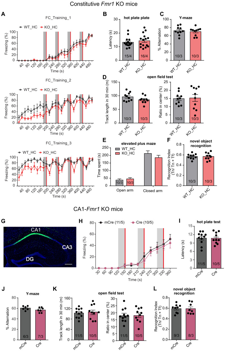 Figure 1—figure supplement 1.