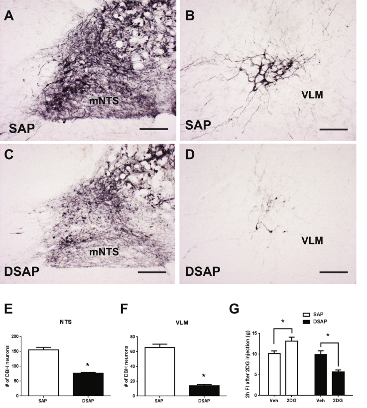 Supplemental Figure 4