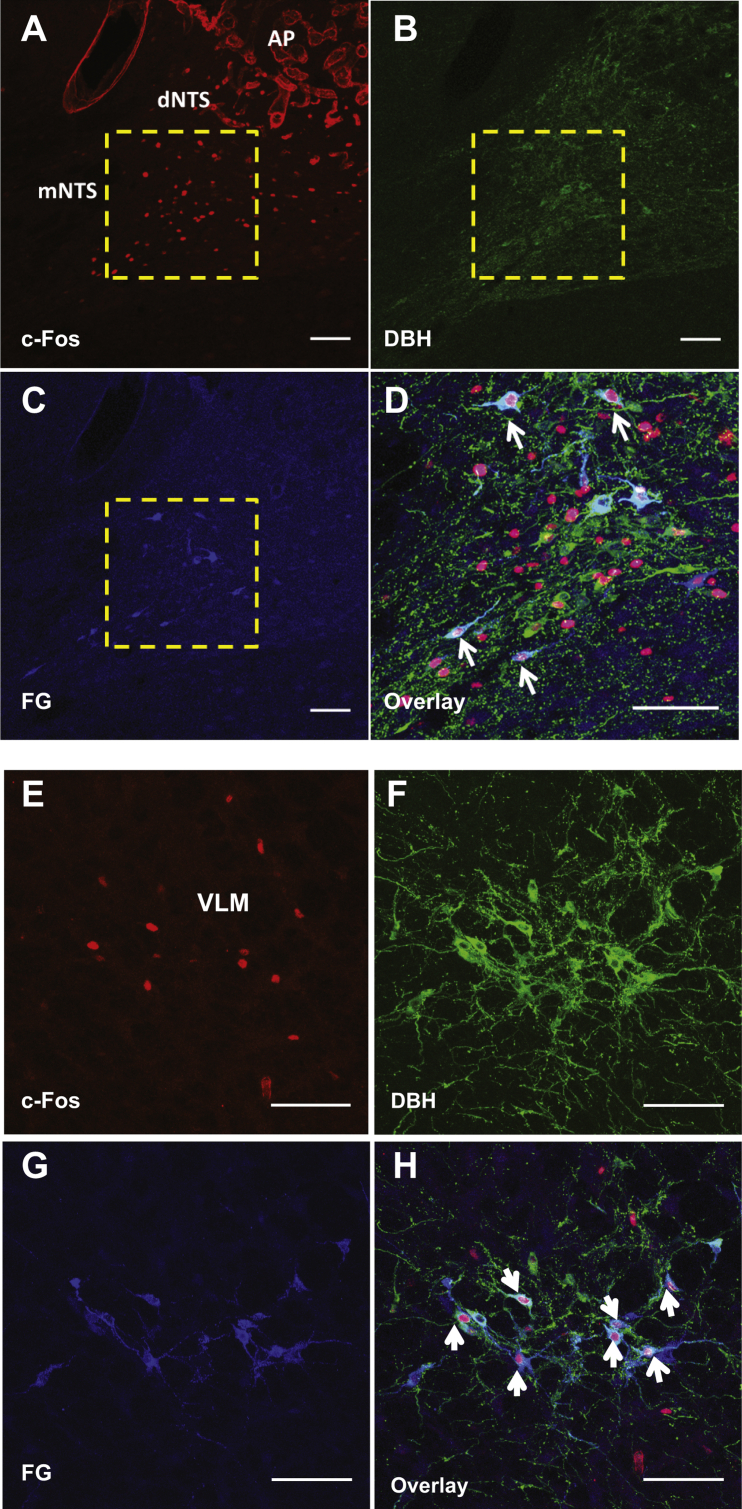 Supplemental Figure 3