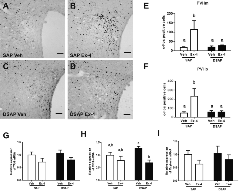 Figure 6