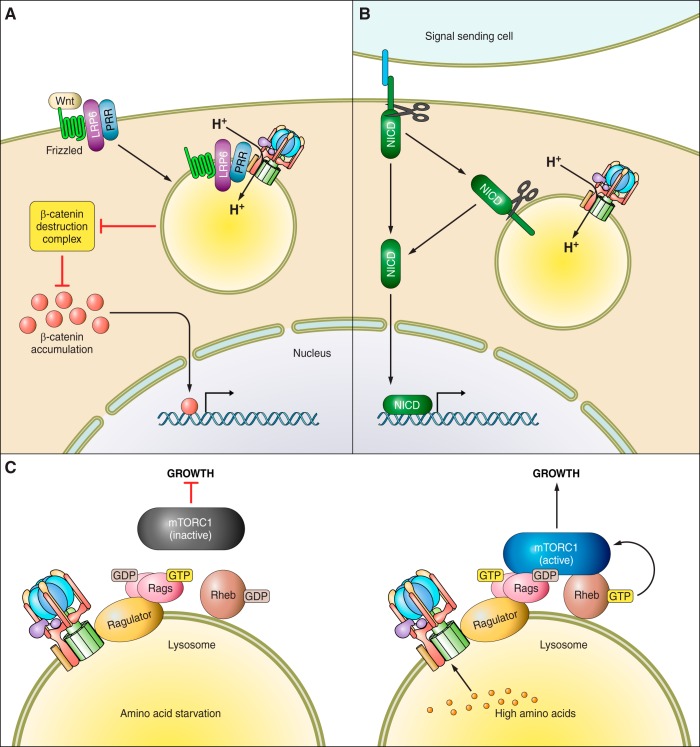 FIGURE 3.