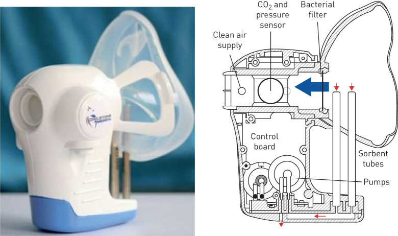 FIGURE 1