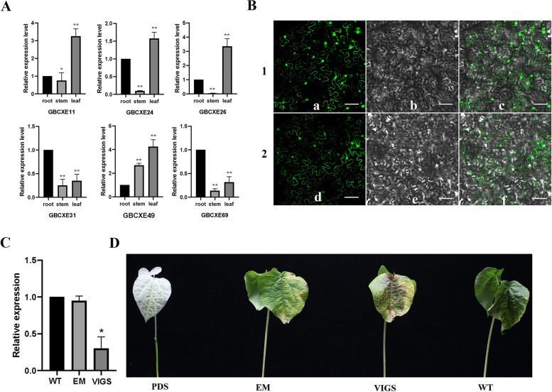 Fig. 8