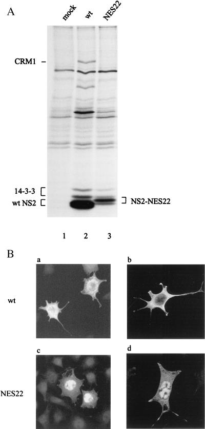 FIG. 5.