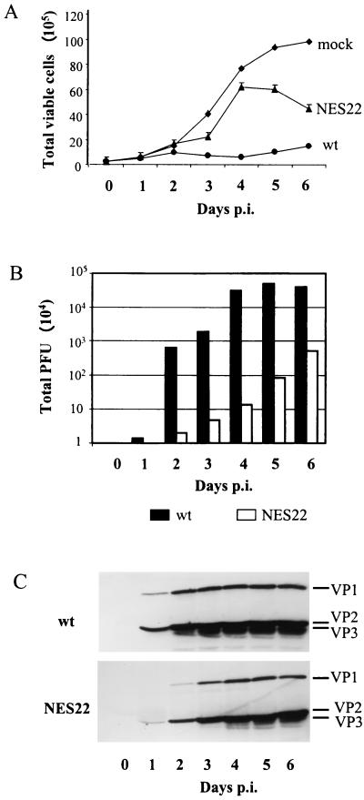 FIG. 7.