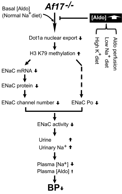 Figure 9.