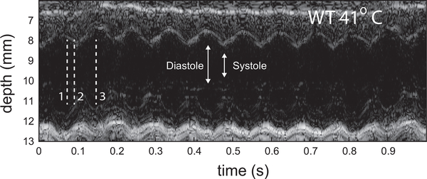 Fig. 9.