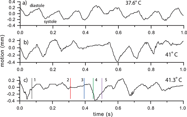 Fig. 10.