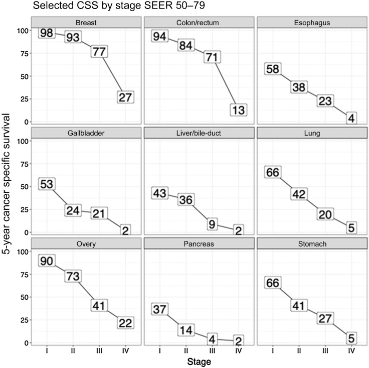 Figure 2. Survival by stage for multiple cancer types. Source: SEER Program. SEER Program SEER Stat Database: Mortality - all COD, aggregated with state, total U.S. (1969–2016) <Katrina/Rita Population Adjustment>, NCI, DCCPS, Surveillance Research Program, released December 2018. Underlying mortality data provided by NCHS (www.cdc.gov/nchs). SEER Program. Available from: www.seer.cancer.gov.