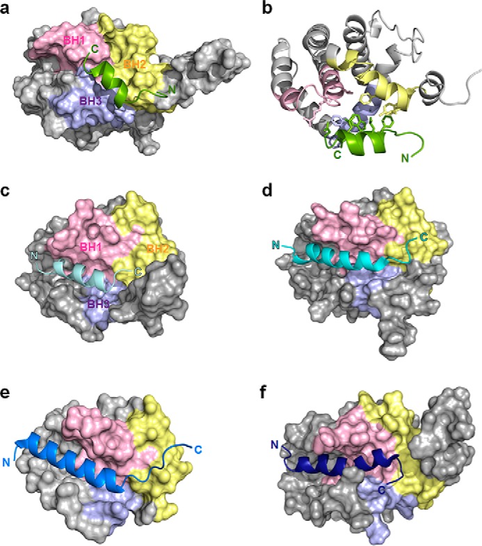 Figure 5.