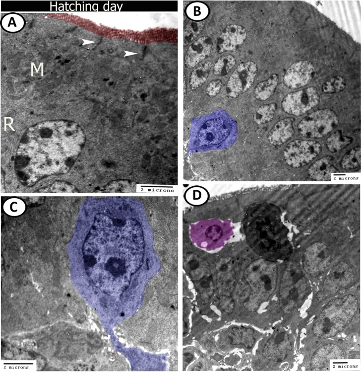 Figure 15