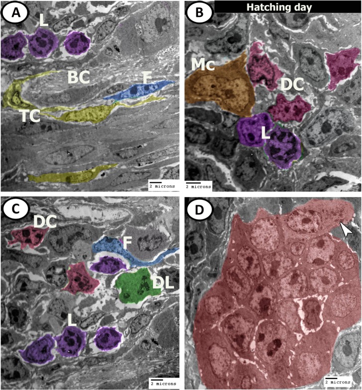 Figure 16