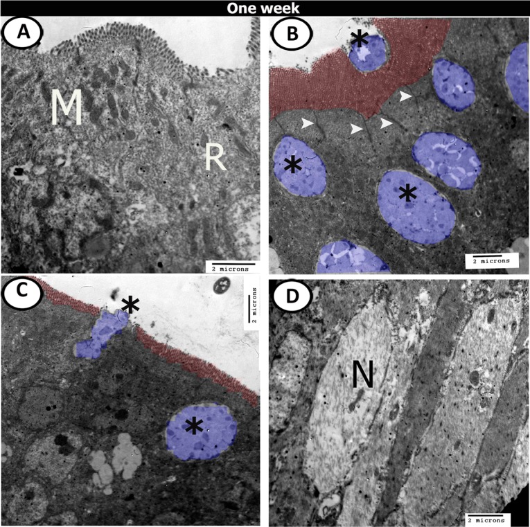 Figure 17