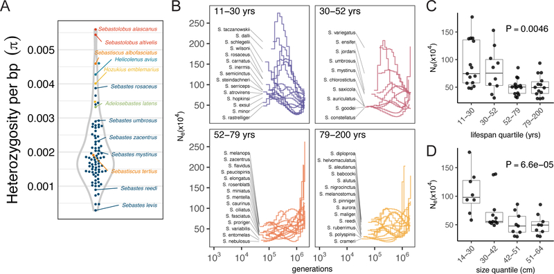 Figure 4 -