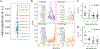 Figure 4 -