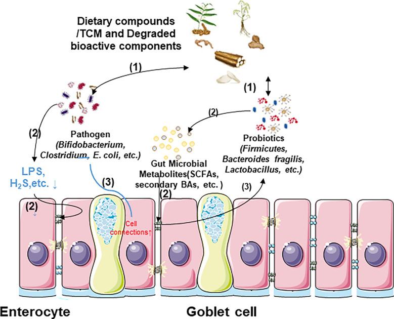 Figure 3