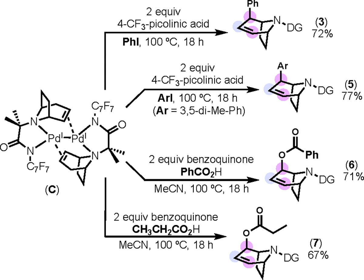 Scheme 5.