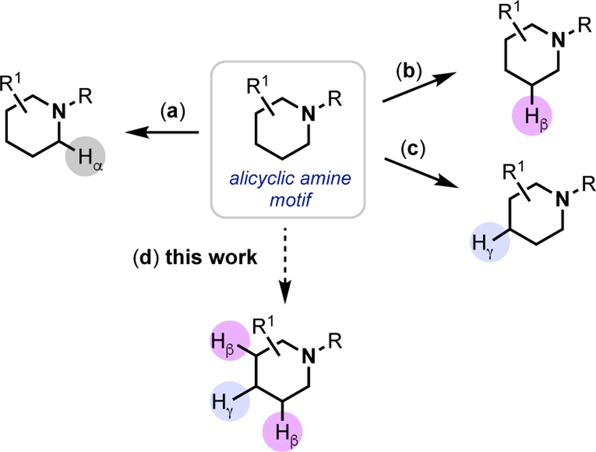 Scheme 1.