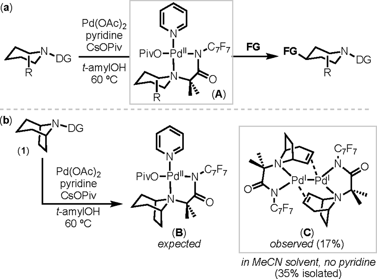 Scheme 4.