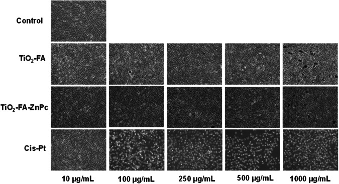 Fig. 9