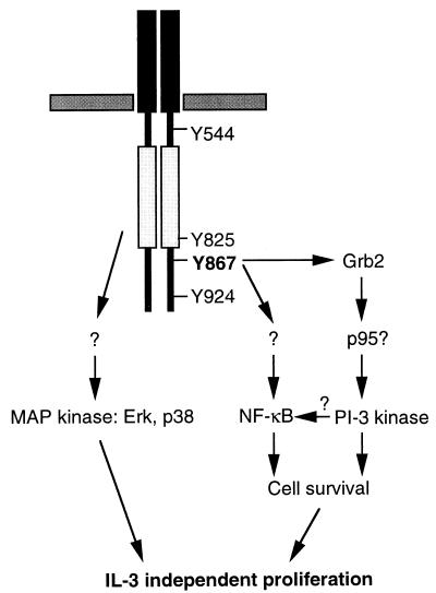 FIG. 9