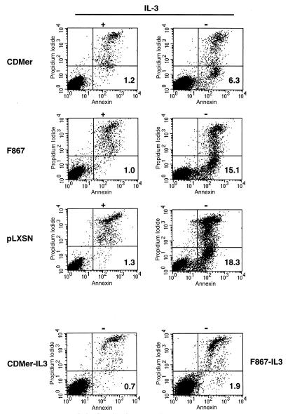 FIG. 8