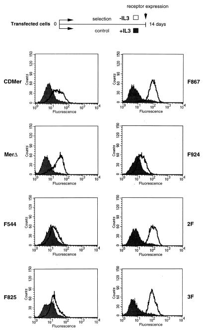 FIG. 3