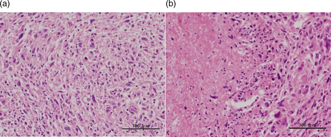 Figure 4