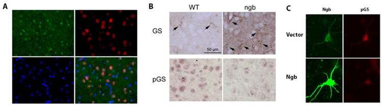 Fig. 7