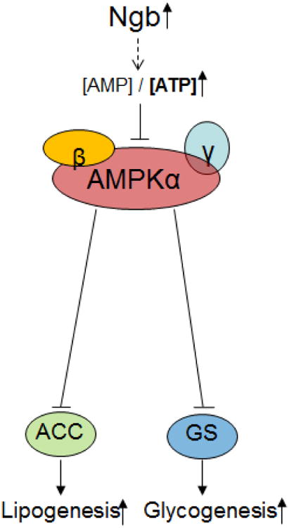 Fig. 9