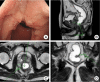 Fig. 2.