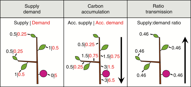 Fig. 1.