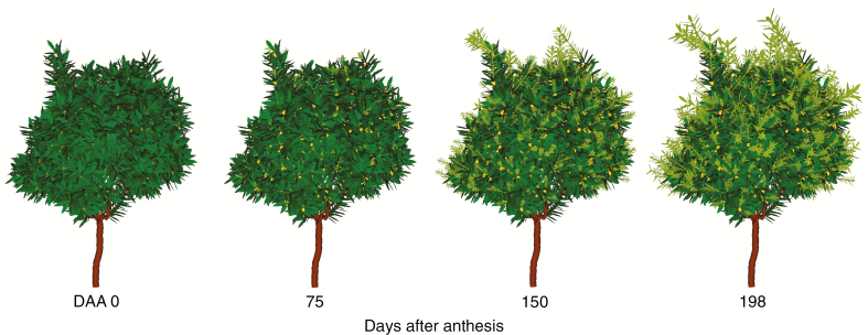 Fig. 6.