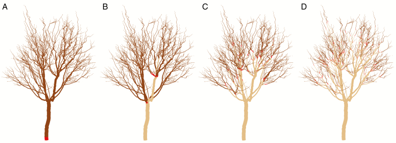 Fig. 5.