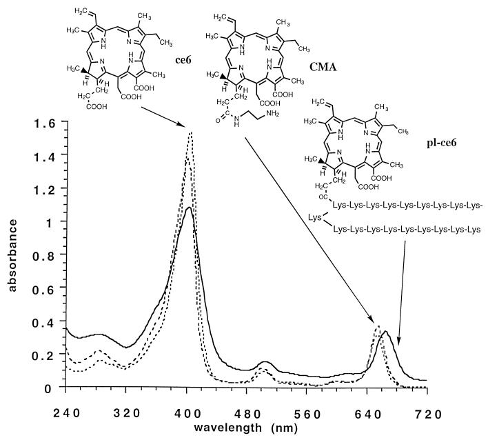 FIG. 1